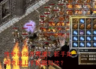 传奇私服开荒难?新手如何快速上手称霸玛法? 传奇私服开荒难?新手如何快速上手称霸玛法?