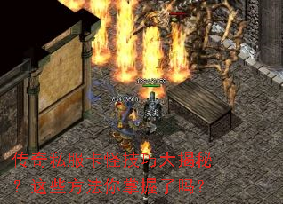 ����˽�����ּ��ɴ���أ���Щ��������������