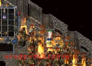 ��ο����ڴ�����Ϸ�������ȼ���