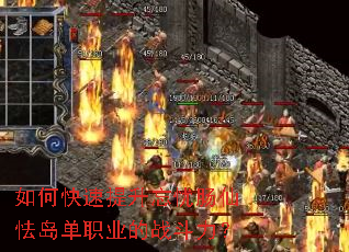 如何快速提升忘忧肠仙怯岛单职业的战斗力? 如何快速提升忘忧肠仙怯岛单职业的战斗力?