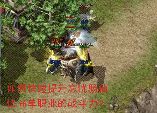 如何快速提升忘忧肠仙怯岛单职业的战斗力? 如何快速提升忘忧肠仙怯岛单职业的战斗力?