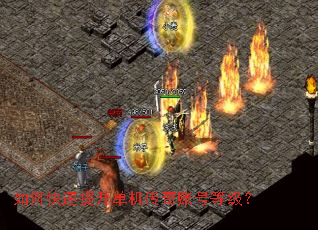 ��ο����������������˺ŵȼ���