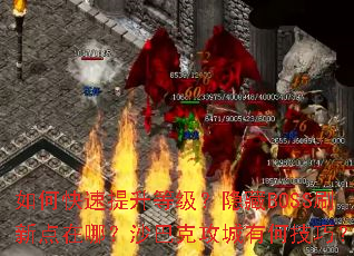 ��ο��������ȼ�������BOSSˢ�µ����ģ�ɳ�Ϳ˹����кμ��ɣ�