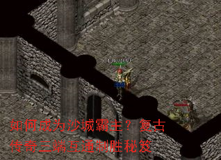 ��γ�Ϊɳ�ǰ��������Ŵ������˻�ͨ��ʤ����