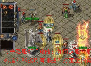 传奇私服新手攻略:如何选服?职业怎么选?PK技巧有哪些?打宝全指南 传奇私服新手攻略:如何选服?职业怎么选?PK技巧有哪些?打宝全指南