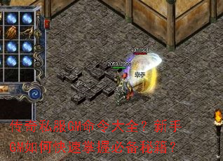 ����˽��GM�����ȫ������GM��ο������ձر��ؼ���