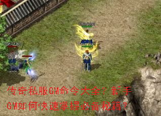 ����˽��GM�����ȫ������GM��ο������ձر��ؼ���