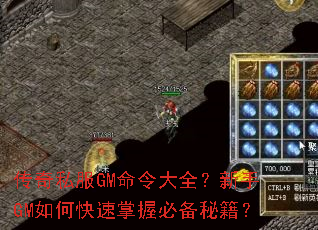 ����˽��GM�����ȫ������GM��ο������ձر��ؼ���