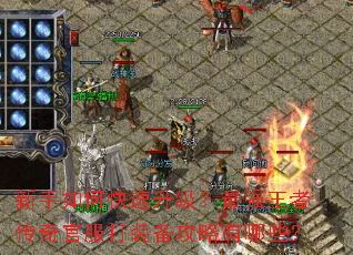 ������ο�����������ǿ���ߴ���ٷ���װ����������Щ��