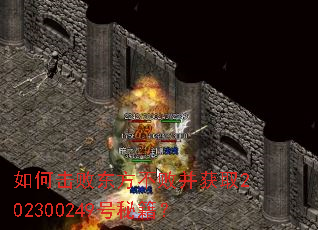 ��λ��ܶ������ܲ���ȡ202300249���ؼ���