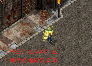 ���湫�����ֽ�ʲô�����ֱؿ�ȡ������