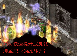 ��ο�����������Ǭ����ְҵ��ս������