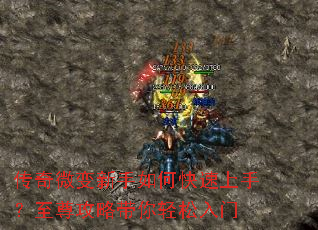 ����΢��������ο������֣������Դ�����������