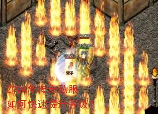 2024�괫��˽����ο��������ȼ���