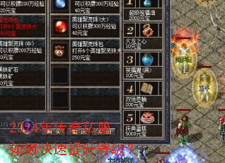 2024�괫��˽����ο��������ȼ���