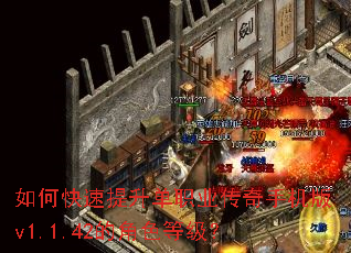 ��ο���������ְҵ�����ֻ���v1.1.42�Ľ�ɫ�ȼ���