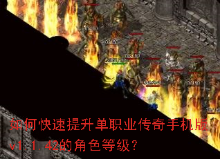 ��ο���������ְҵ�����ֻ���v1.1.42�Ľ�ɫ�ȼ���