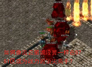 ��������ƵڳǶ���һ����8781����Ϊս���Ķ�����֣�