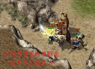 ��ο���������ְҵ����ɫ��ս������