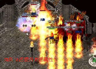 ��ο��������������ԣ�