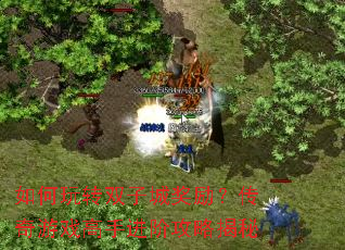 �����ת˫�ӳǽ�����������Ϸ���ֽ��׹��Խ���