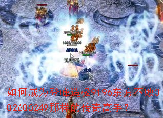 ��γ�Ϊ�Ƿ��켫9196��������302600249�����Ĵ�����֣�