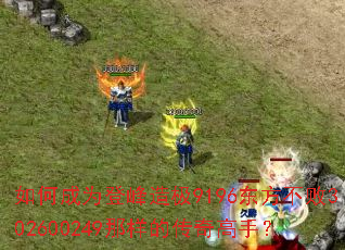 ��γ�Ϊ�Ƿ��켫9196��������302600249�����Ĵ�����֣�