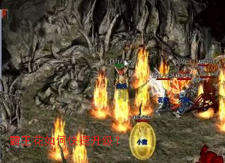 霸王花如何快速升级? 霸王花如何快速升级?