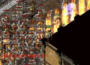 ��������ο���������