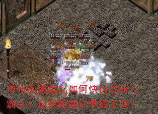 ����˽��������ο��ٳɳ�Ϊ��������Щ�ؼ�����������