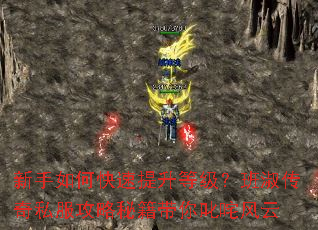 ������ο��������ȼ������紫��˽�������ؼ�����߳�����