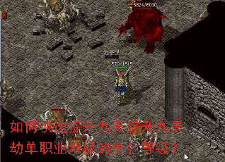 ��ο�������������������ٵ�ְҵ�ذ�Ľ�ɫ�ȼ���