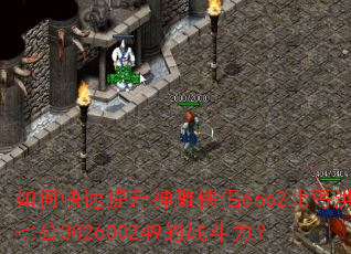 ��ο��������������6662��ؤ���߹�302600249��ս������