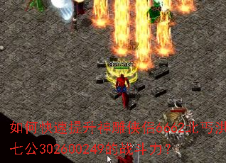 ��ο��������������6662��ؤ���߹�302600249��ս������