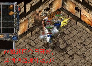 ս���������տ��ţ���ο�������ս����