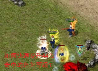 ��ο�������44�����еĽ�ɫ�ȼ���