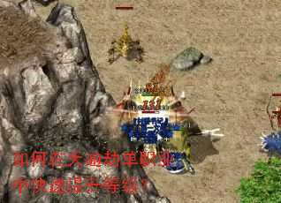 ���������ٵ�ְҵ�п��������ȼ���