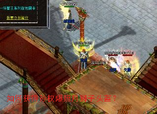 ��λ����Ȩ������ʨ��ͷ����