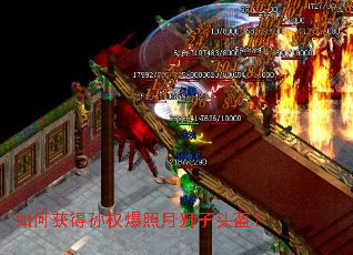 ��λ����Ȩ������ʨ��ͷ����