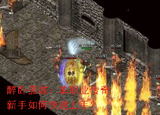 ���Թ³ǣ���ְҵ����������ο������֣�