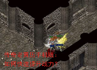 �����ϻ����ֻ��棺��ο�������ս����