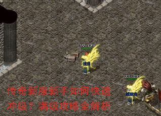 �����·�������ο��ٳ弶����������ȫ����