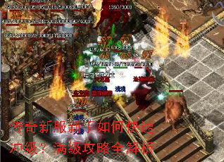 �����·�������ο��ٳ弶����������ȫ����