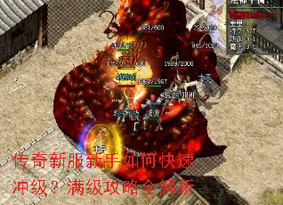 �����·�������ο��ٳ弶����������ȫ����