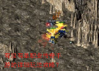 ��û�е�ְҵ�������ε���ϸ�淨���ԣ�