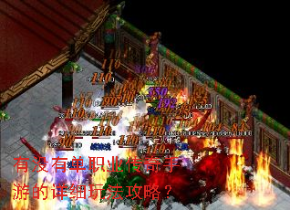 ��û�е�ְҵ�������ε���ϸ�淨���ԣ�