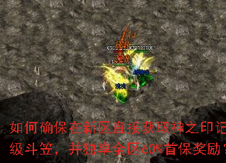 如何确保在新区直接获取神之印记或神级斗笠,并独享全区60%首保奖励? 如何确保在新区直接获取神之印记或神级斗笠,并独享全区60%首保奖励?