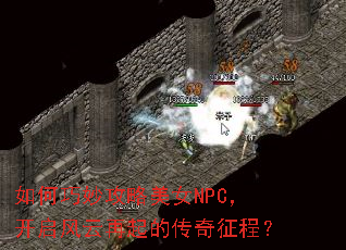 ����������ŮNPC��������������Ĵ������̣�
