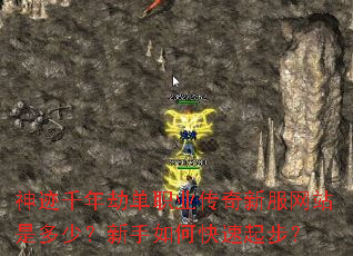 ��ǧ��ٵ�ְҵ�����·���վ�Ƕ��٣�������ο����𲽣�