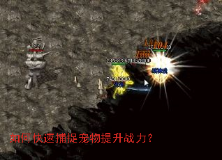 ��ο��ٲ�׽��������ս����